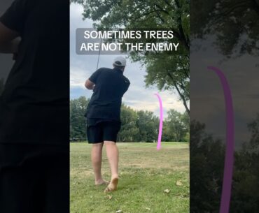 Golf’s Weirdest Ally: The Trees 🌳