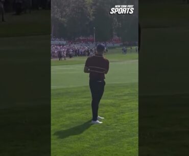 Rory McIlroy tells crowd to "shut the f**k up, hits incredible shot #shorts #golfshorts