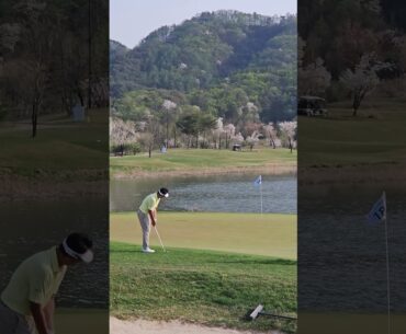 #박상현 프로 그린 주변 어프로치 DB손해보험 프로미 오픈