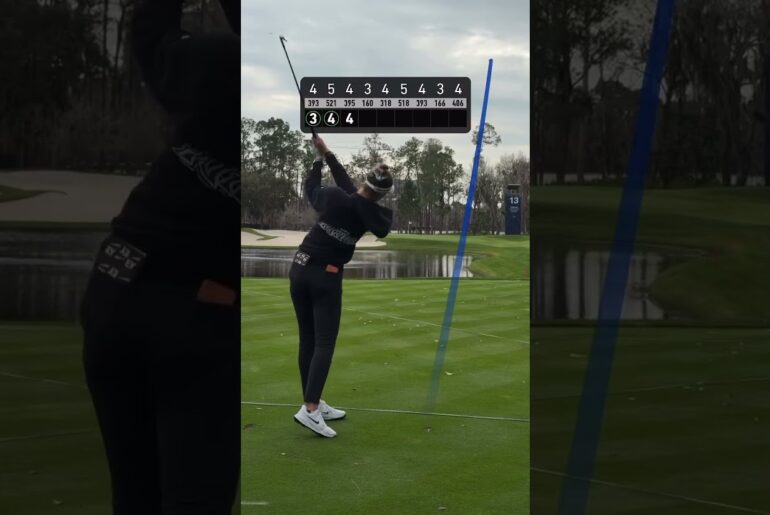 #넬리코다 완벽한 9홀 라운드 🔥