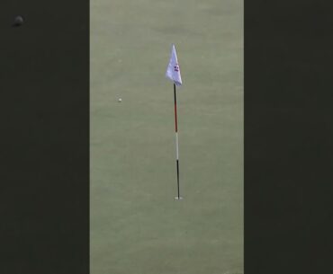 Making a Birdie look TOO easy! 😍