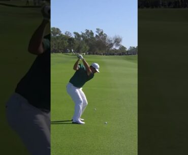 Hideki Matsuyama Iron Swing 2026 #pgatour #golfswing #hidekimatsuyama