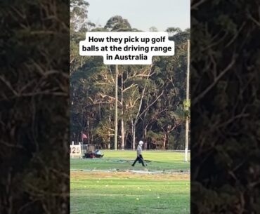 How they pick up golf balls in Australia.. 😭🔥