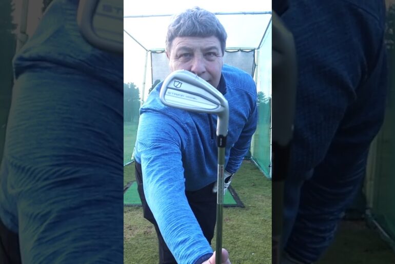 Wilson Staff Model Irons