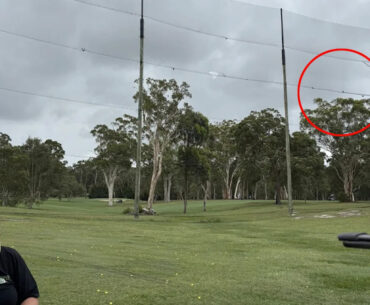 Dozens of animals killed by golf club's new installation: 'Died in front of us'