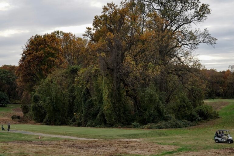Trump administration terminates lease for Washington's public golf courses
