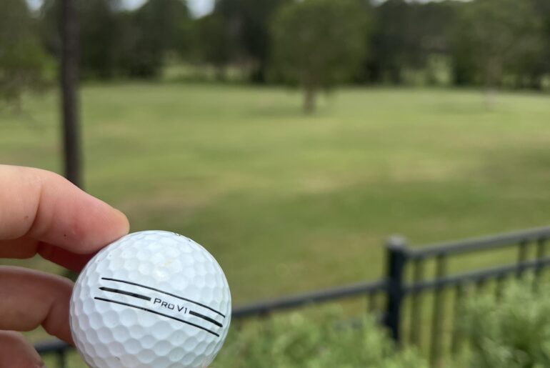 Bought a house on the golf course, this is the first ball I found in my yard. I think it’s a good omen