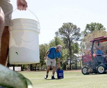 SC college is behind the best golf courses, MLB turfs in US