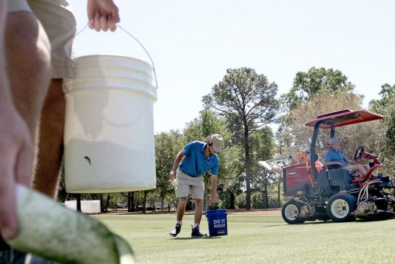 SC college is behind the best golf courses, MLB turfs in US
