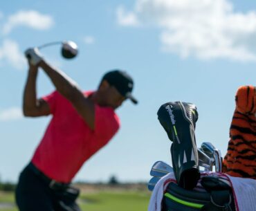 What are his key career accomplishments?