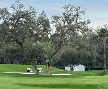 TPC Sawgrass's 12th hole gets subtle makeover ahead of 2026 Players