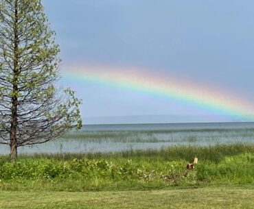 Michigan golf courses for sale in 2026. 11 up for sale now