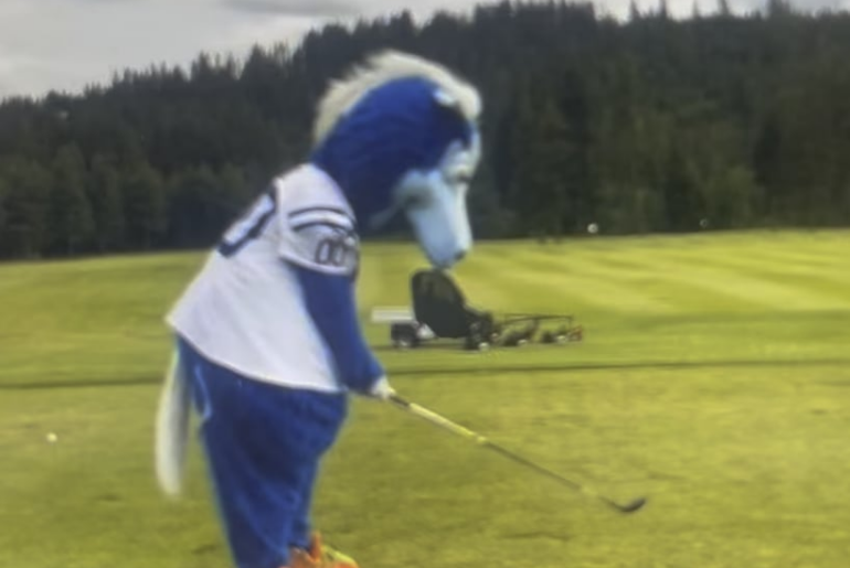 I’ve got 6 months off work and want to play more golf, how’s my swing look?