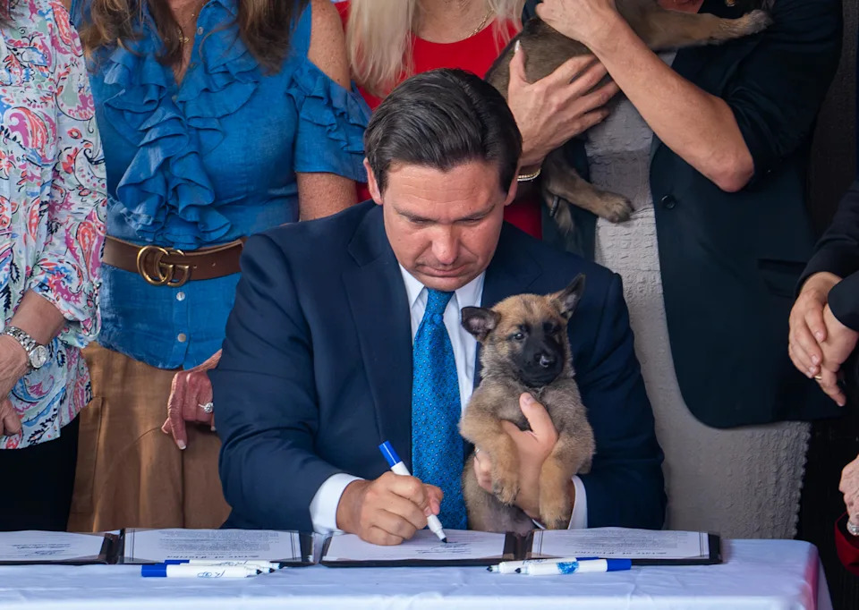 Florida Governor Ron DeSantis holds a puppy while signing two animal rights bills, Dexter's Law and Trooper's Law SB 150, into law during a press conference at Big Dog Ranch Rescue in Loxahatchee May 28, 2025.
