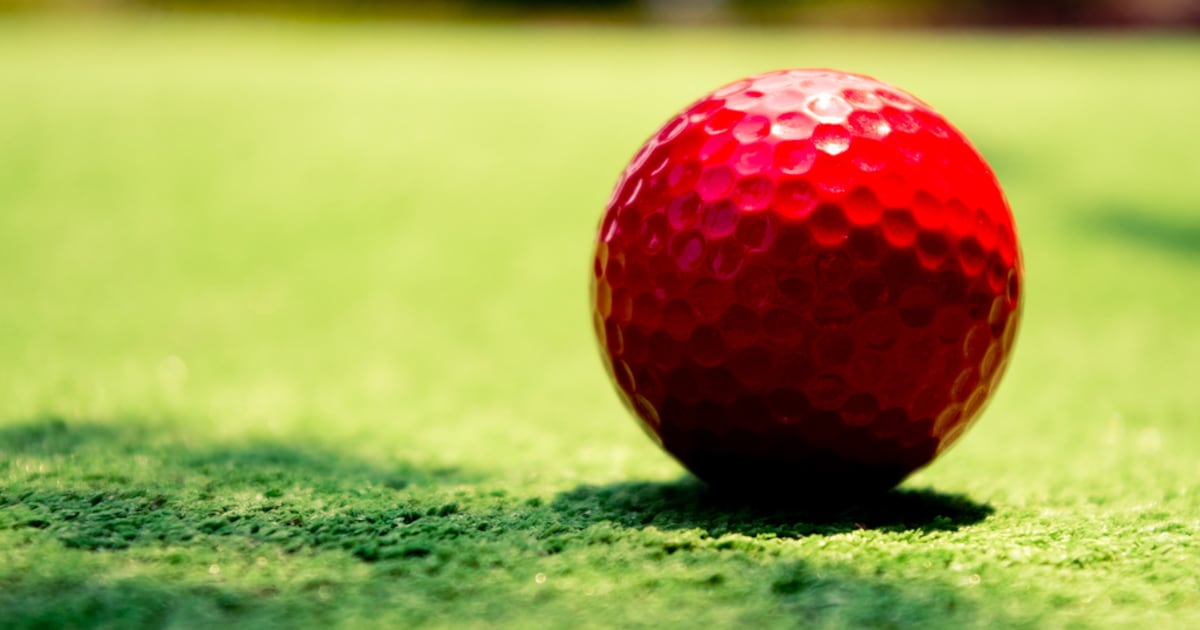 St. Johns County approves new mini-golf venue – Action News Jax