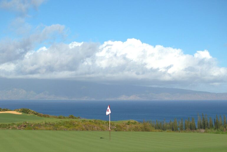 Major(s) News & Notes, January 8th, 2026