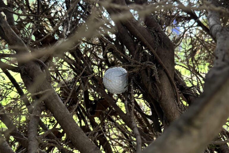 Share your worst golf moment of 2025