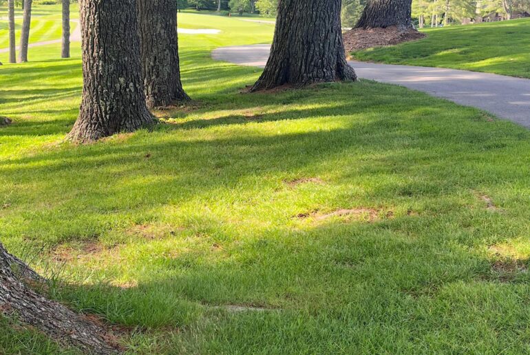 You can guess what happened, but I had no other choice…