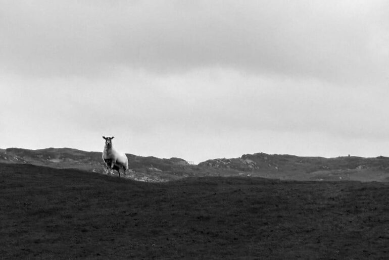 I visited Iona in September. It’s a small island in Scotland with a free 18-hole golf course. It is really a special place. I took a lot of photos, and did a short write up.
