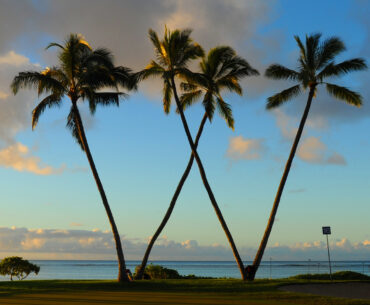 Where is Waialae Country Club and the 2026 Sony Open in Hawaii located?