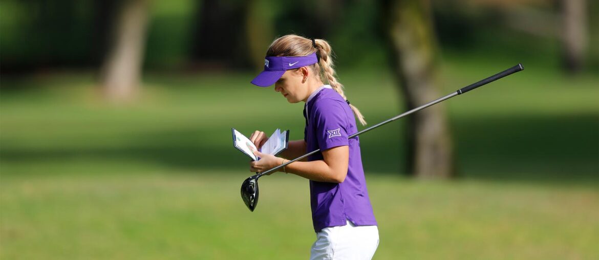 University of Houston Logo