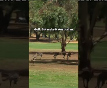 Good marsupial turnout 🦘 #WebexPlayersSeries Murray River