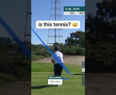 don't hurt yourself si woo