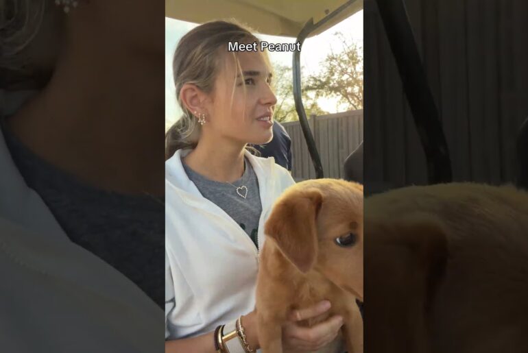 The sweetest pup! #shorts #dog