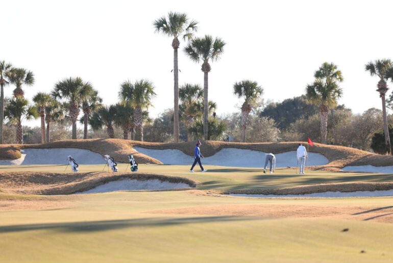 Jacksonville Dolphins