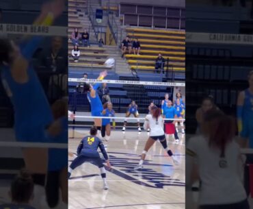 #volleyball  #fyp #waitforit #womensvolleyball