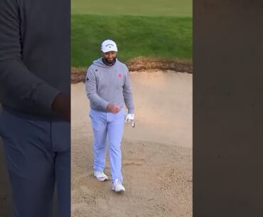 Rahm that is TERRIFIC! 😍