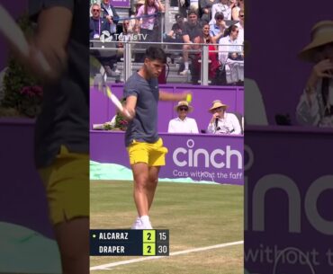 Alcaraz vs Bees: The Sequel 🐝