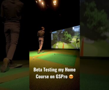 Warwick Hills on GSPro Golf Simulator Software (Beta) #golf #golfsimulator #golfer