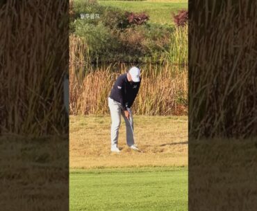 Wonjoon Lee 프로 | 러프에 묻혀도 이건 된다⚡️ #golf #장타의조건 #golfswing #koreagolf #골프스타 #골프