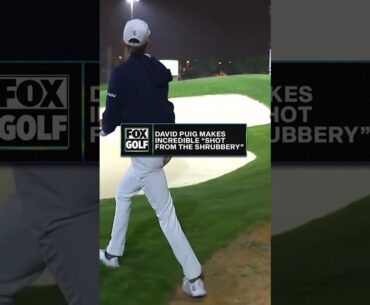 David Puig pulls off a ridiculous shot 👀 #livgolf #golf #DavidPuig