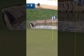 Cam Davis was THIS close to an ace on No. 17 @wmphoenixopen