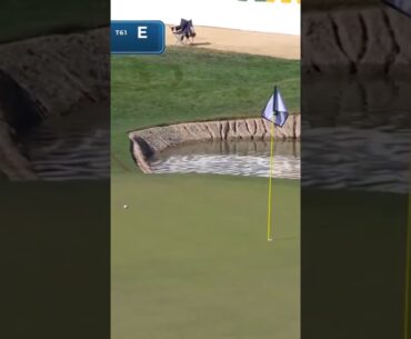 Cam Davis was THIS close to an ace on No. 17 @wmphoenixopen