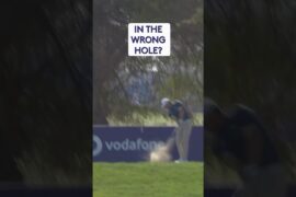 What happened here?! 🤷🏻‍♂️