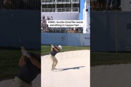 HERE COMES SCOTTIE 👀