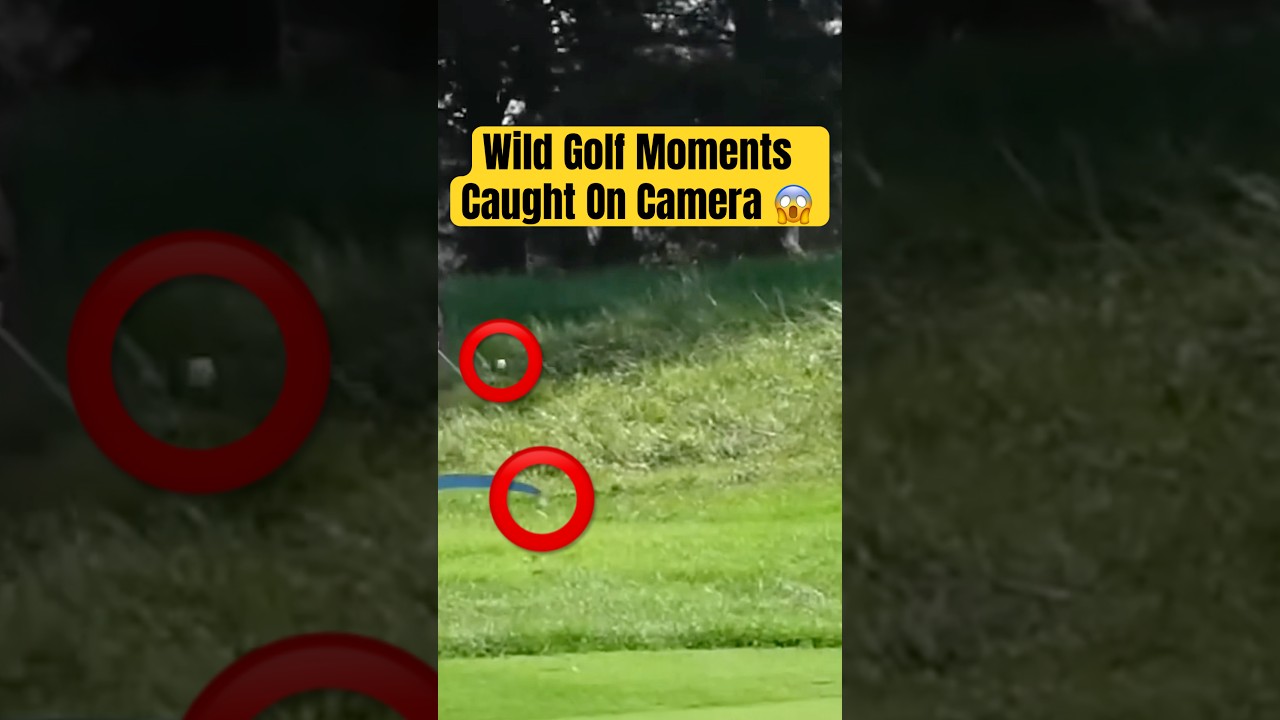Wild Golf Moments Caught On Camera 😱⛳️