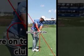 Best move in golf? (Xander Schauffele) #golf #golfgame #golfgear