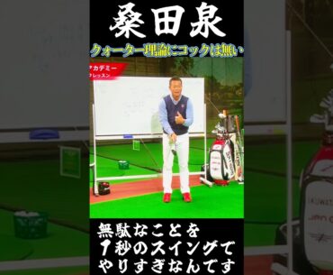 桑田泉　#無駄なことをやりすぎ#コックはない#クォーター理論