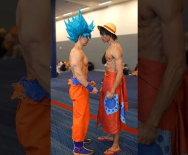 Goku vs Luffy