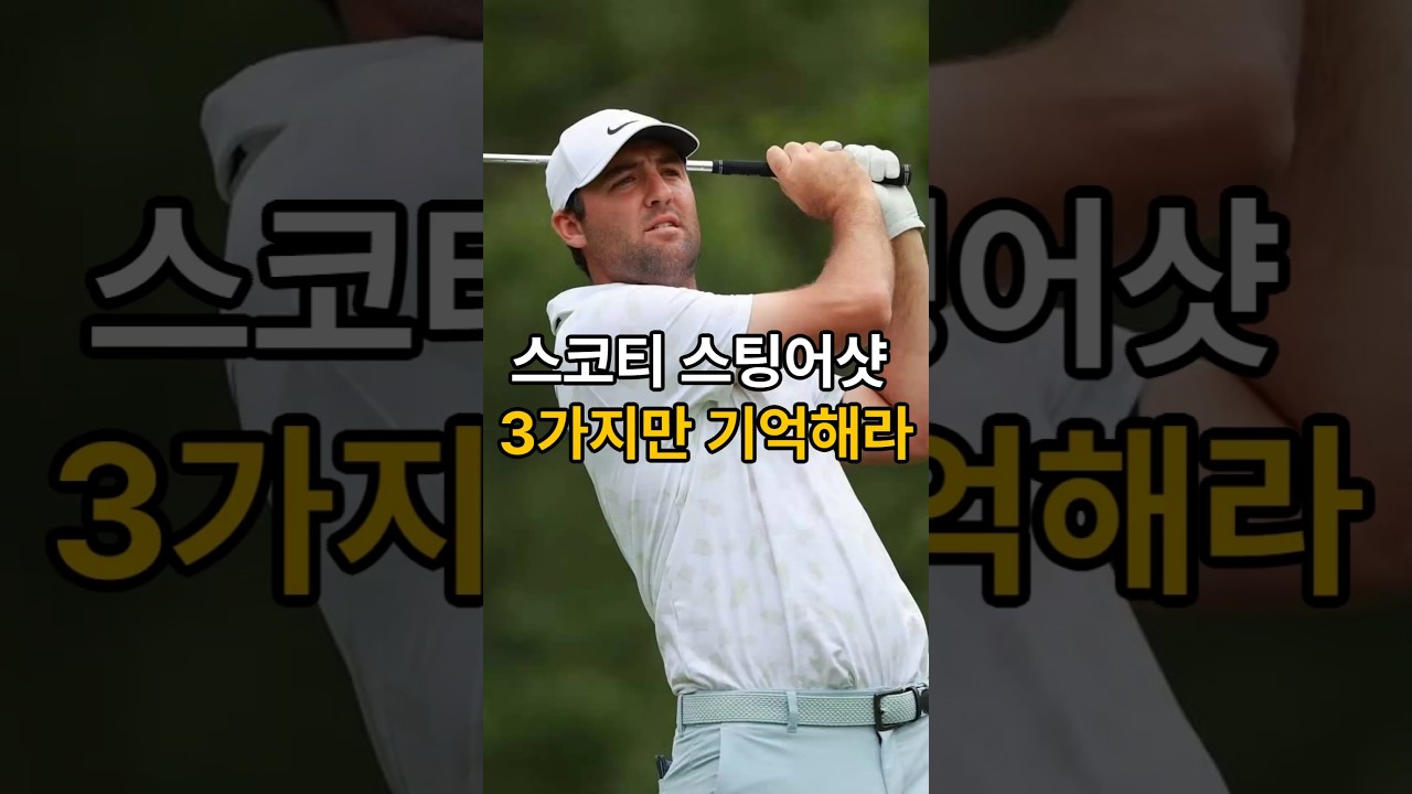 스코티셰플러 스팅어샷, 이 3가지만 기억해라!
