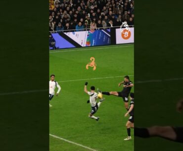 Solanke Scorpion King 🦂