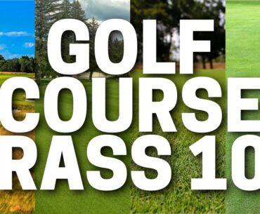 Beginners Guide to Golf Course Grass (Bermuda, Bent Grass, Po Annua & More)