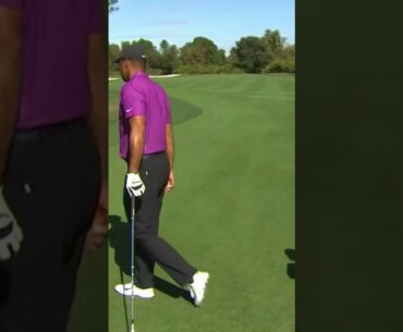 Charlie Woods First Ever Eagle #golf #tigerwoods #charliewoods #eagle