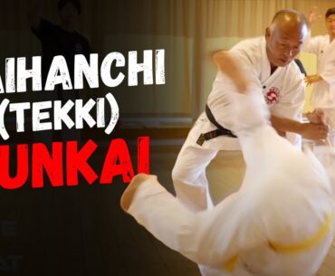 Tekki (Naihanchi) Shodan Hidden Bunkai | The Forgotten Grappling Secret of Karate