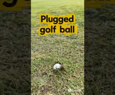 Free Drop! Like this video for your daily dose of golf tips! #golf #golfer #golfrules #golfswing