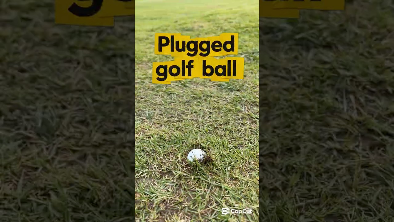Free Drop! Like this video for your daily dose of golf tips! #golf #golfer #golfrules #golfswing